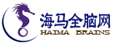 海马脑力网